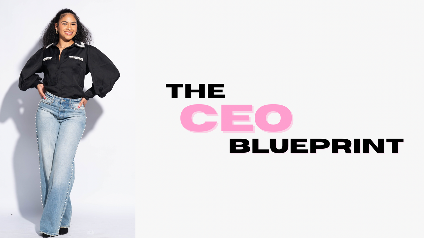 The CEO Blueprint Webinar