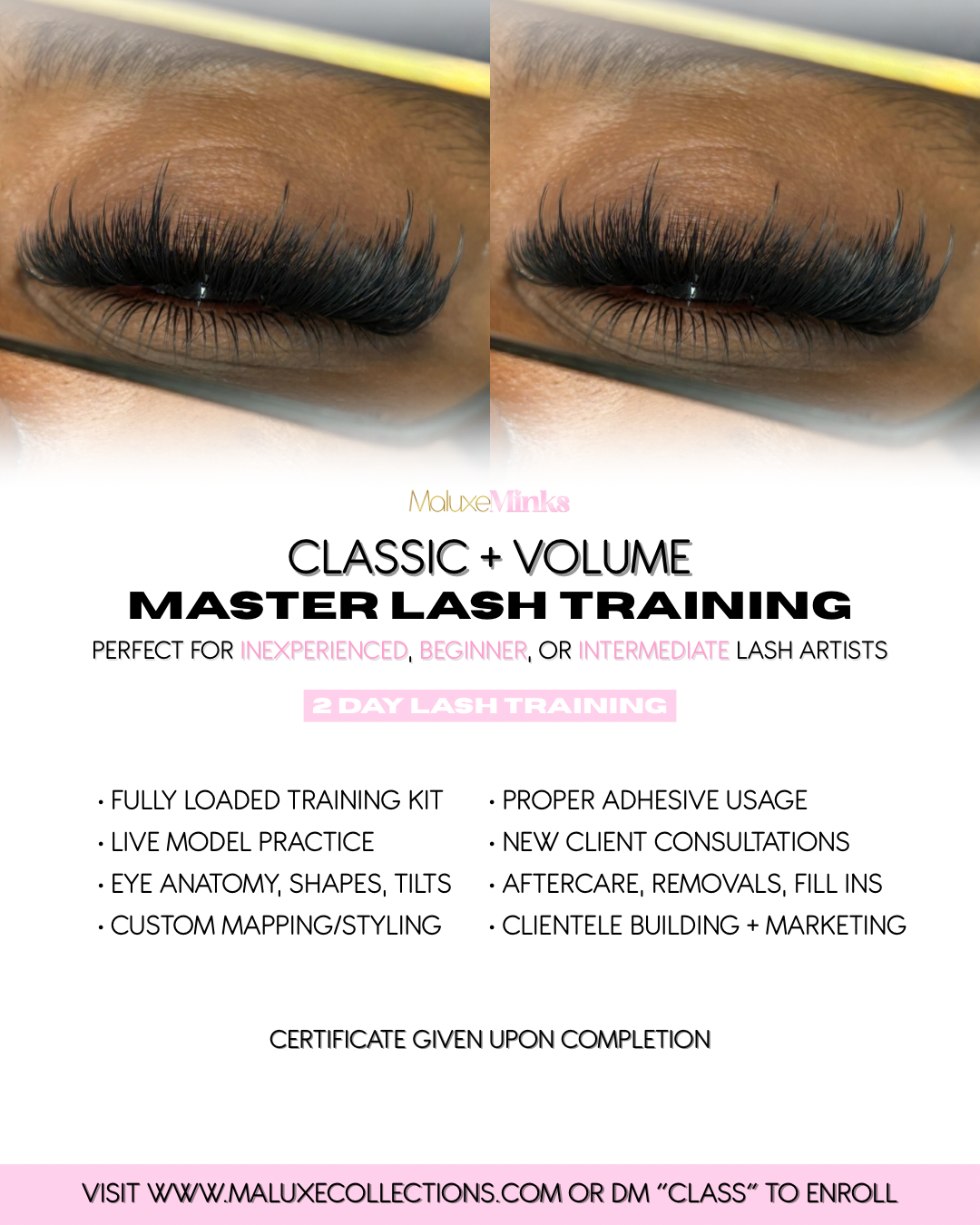 1:1 2-Day Master Lash Training